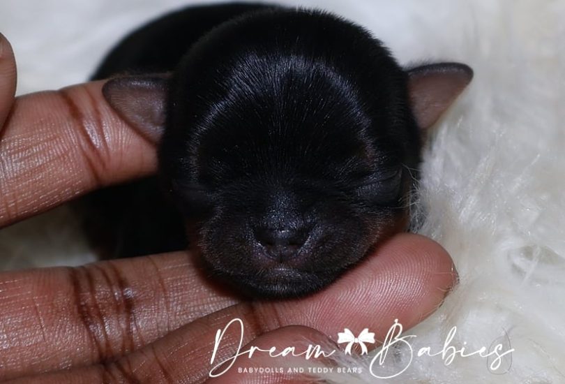 2nd Smallest Male (4)